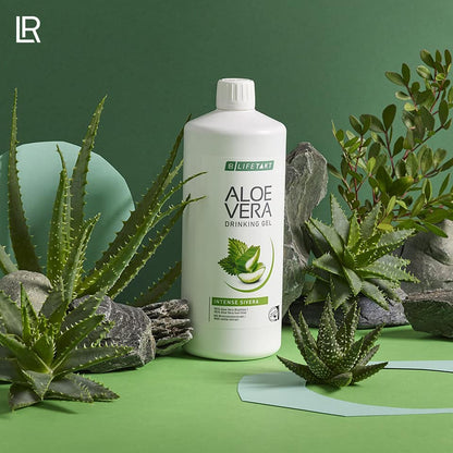 LR Aloe Vera Drinking Gel Intense Sivera - mit 90 % reines Aloe Vera Blattfilet, 7 % mit Blütenhonig und Brennnesselextrakt.